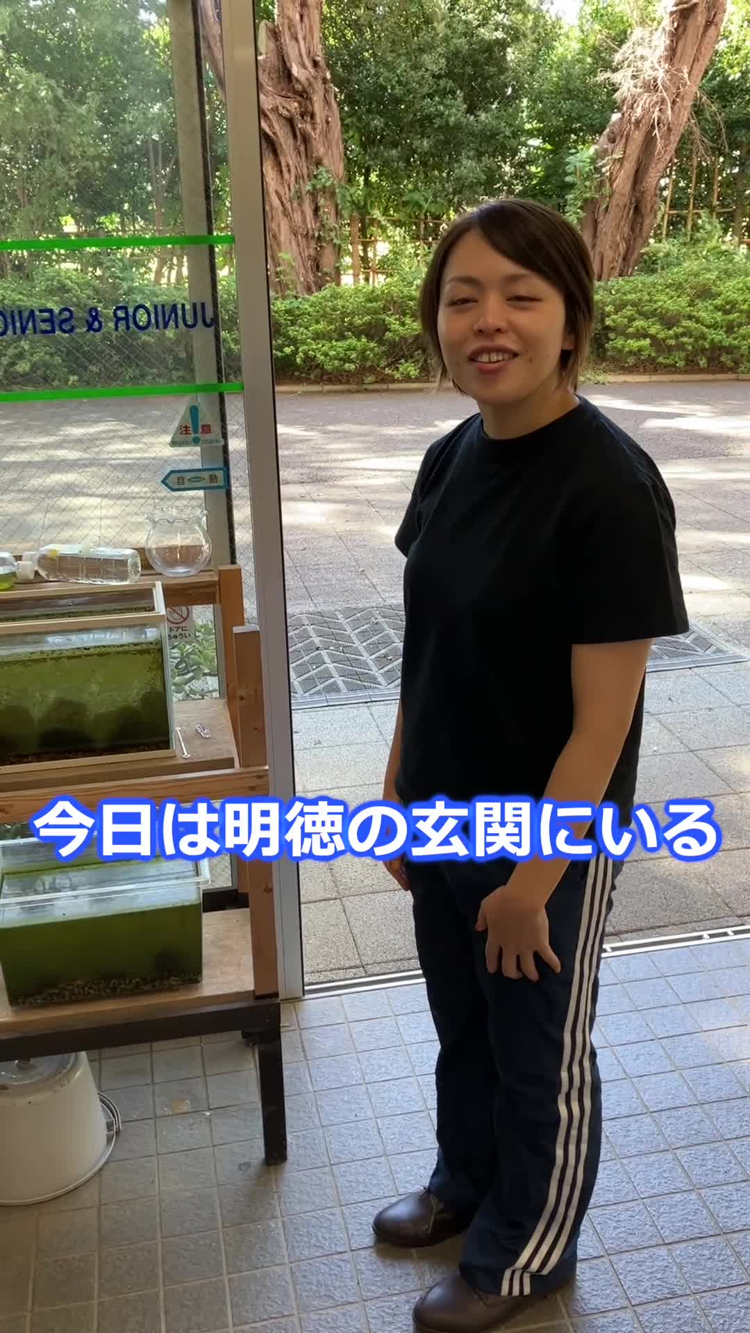 動画サムネイル