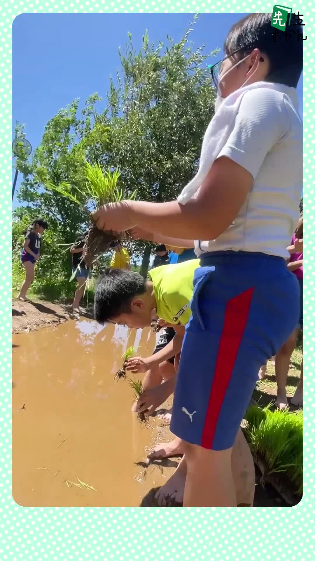 動画サムネイル